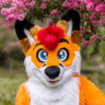 coltofox